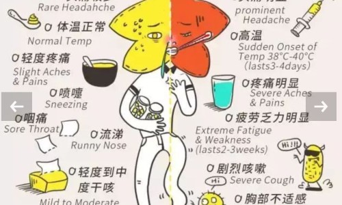 横结肠息肉严重吗-横结肠息肉症状网 - 横结肠息肉一般活几年,横结肠的息肉危险吗